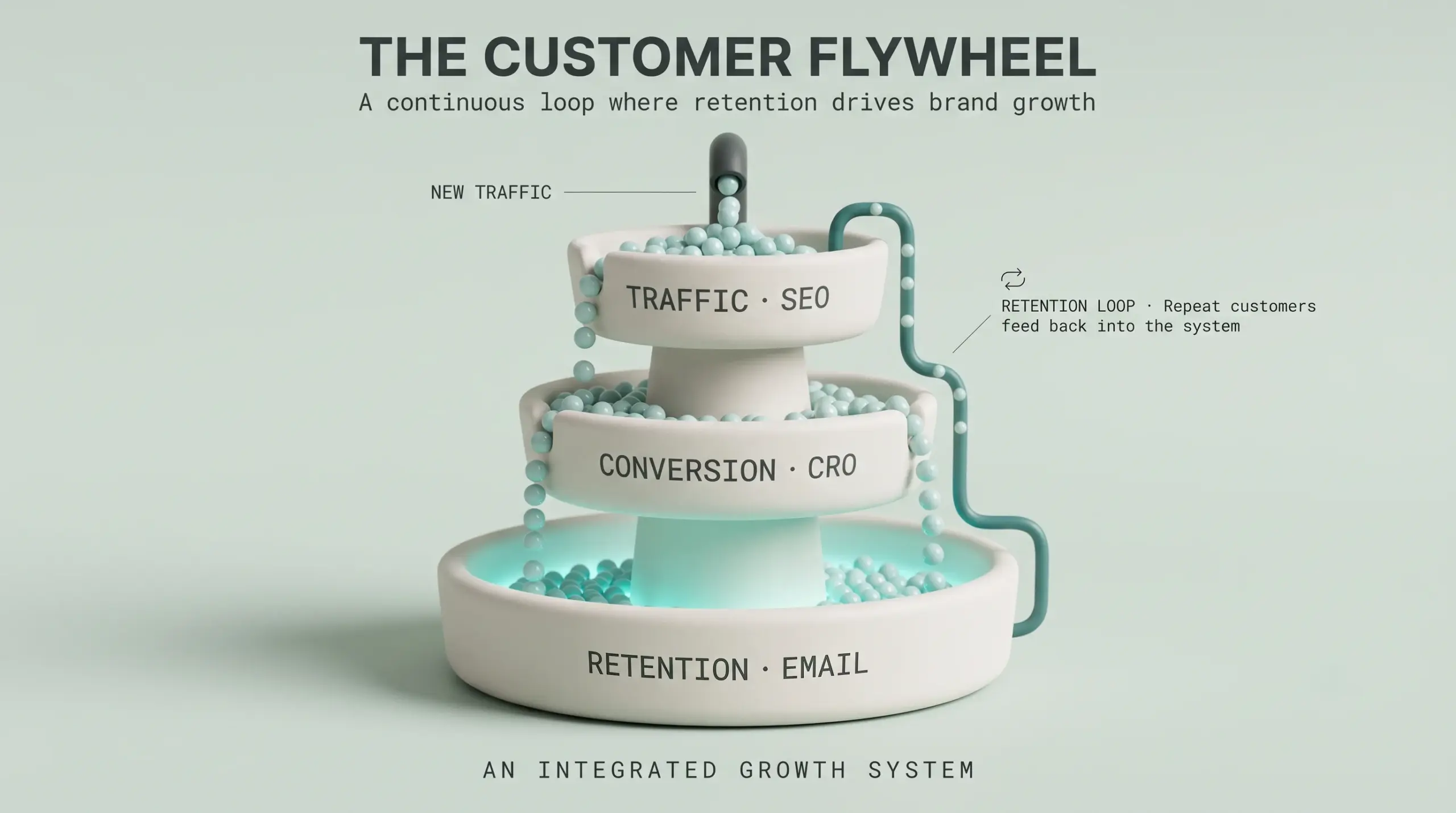 Ecommerce Growth for New Zealand DTC Brands
